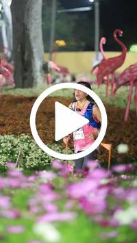 BIB:  <button type="button" onclick="openModal(27591142)" class="btn btn-primary btn-sm float-right" data-toggle="modal" data-target=".modal-high-quality">
                <i class="fa fa-download"></i> Download
                </button>